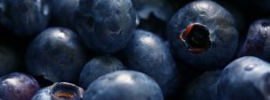 Eating Healthy For Less