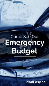 See Our Emergency Budget