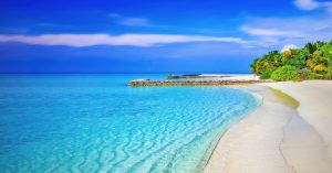 Tax Shelters For Every Canadian