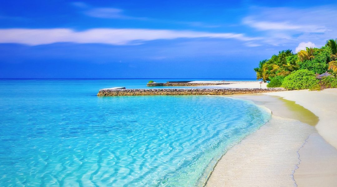 Tax Shelters For Every Canadian