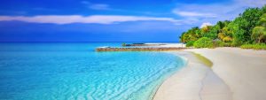 Tax Shelters For Every Canadian