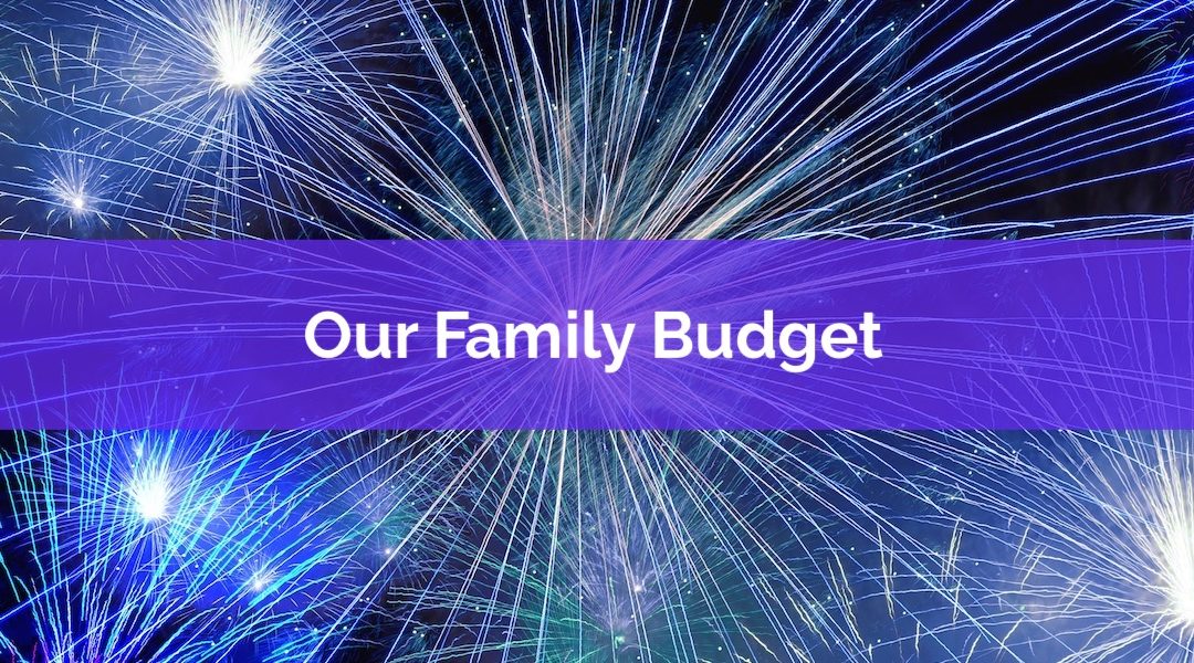 Attention Financial Voyeurs! See Our 2018 Family Budget