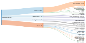 Sankey Diagram - Track Your Spending - PlanEasy