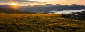 The 4 Most Important Keystone Habits In Personal Finance