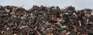 6 Ways To Tell If You're A Financial Hoarder
