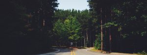 TFSA vs RRSP - Decide like a financial planner