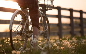 Avoiding The Risk Of A Long And Healthy Life