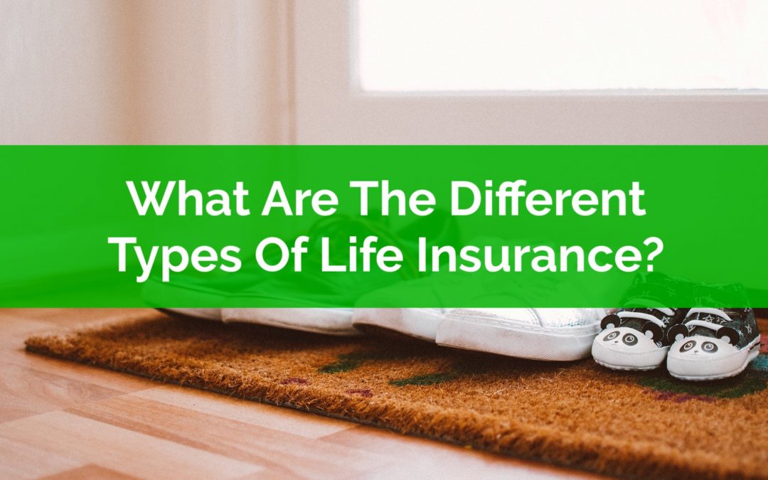 What Are The Different Types Of Life Insurance?