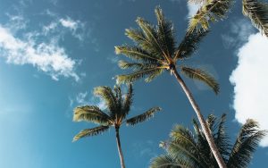 How To Plan Your Retirement Income In Seven Easy Steps