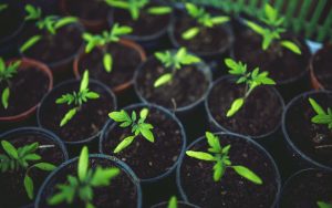 All-In-One ETF The Best Way To Grow Your Money