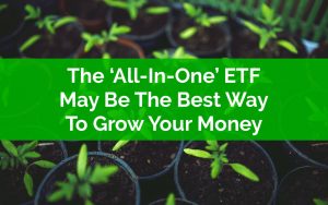 All-In-One ETF The Best Way To Grow Your Money
