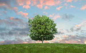 What Is Advice Only Financial Planning