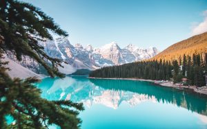 Did You Know Your CPP Estimate Is Probably Wrong