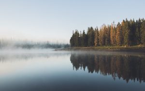 5 Strategies To Maximize Guaranteed Income Supplement GIS